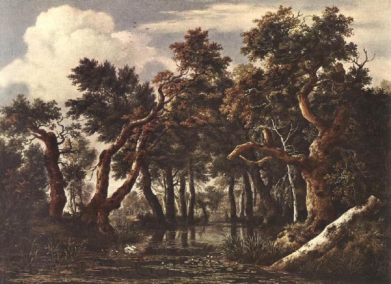 Jacob van Ruisdael The Marsh in a Forest Norge oil painting art
